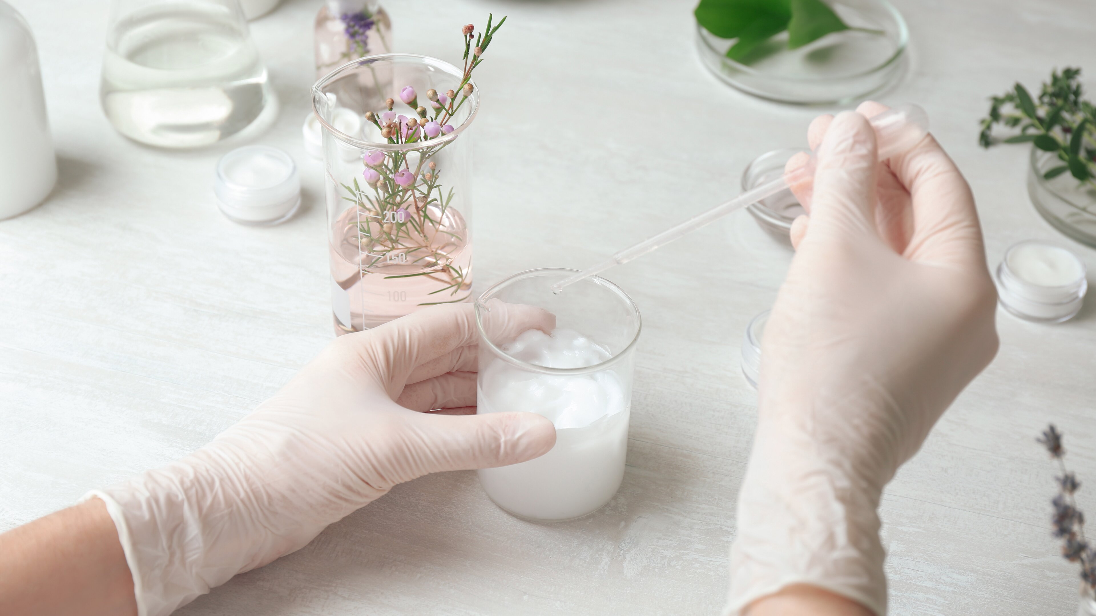 CHANNOINE CHANNOINE Österreich